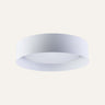 Emma Flush Mount 15.7 inch - Archiology